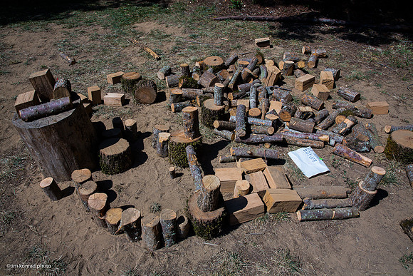 Redwood Ramble, 2015
