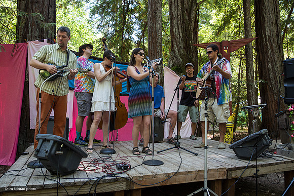 Redwood Ramble, 2015