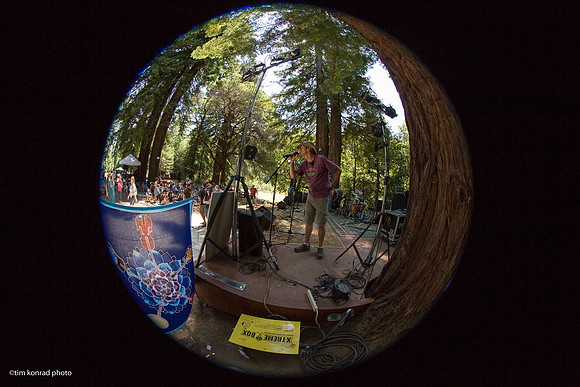 Redwood Ramble, 2015