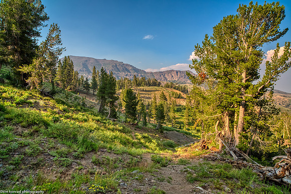 East Slope of Sonora Pass, Mono County, CA