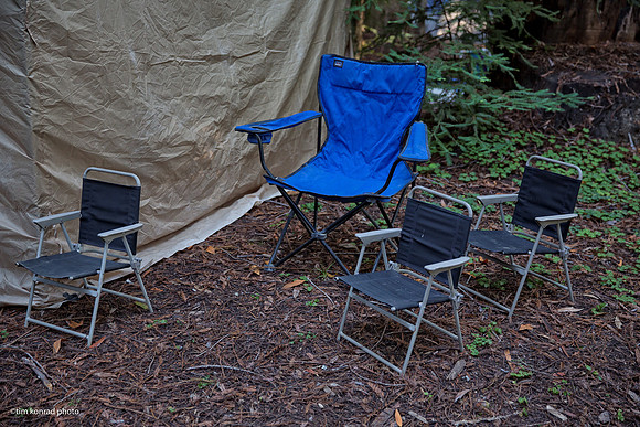 Redwood Ramble, 2015