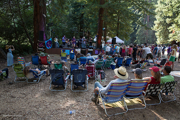 Redwood Ramble, 2015