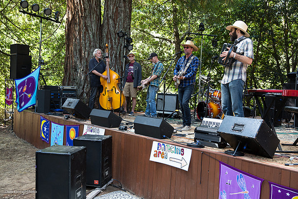 Redwood Ramble, 2015