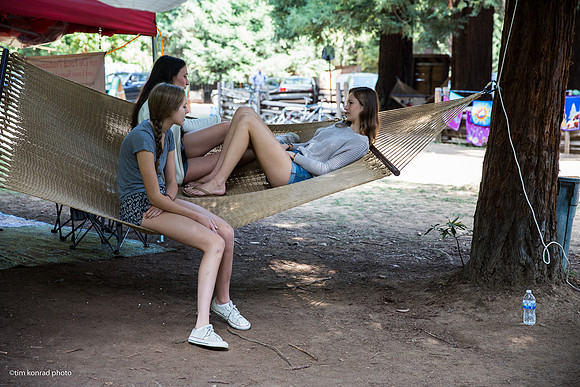 Redwood Ramble, 2015