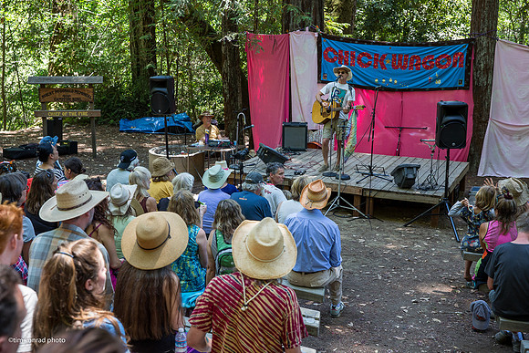 Redwood Ramble, 2015