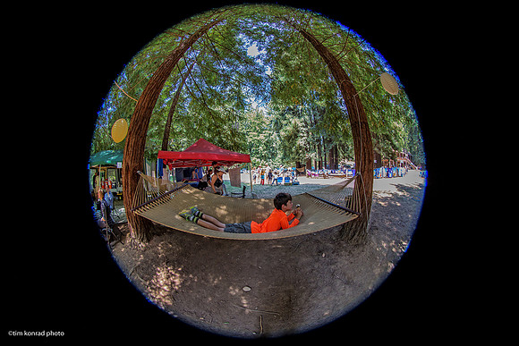 Redwood Ramble, 2015