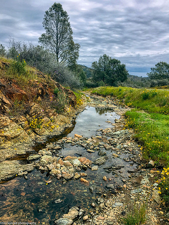 Springtime in the Red Hills, Tuolumne County, CA
