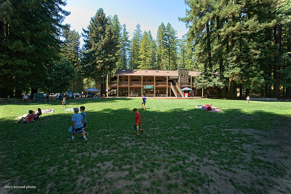 Redwood Ramble, 2015