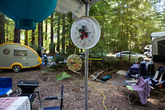 Redwood Ramble, 2015