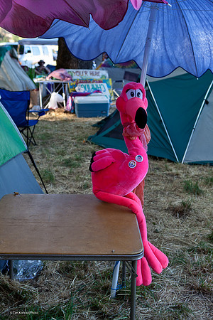 Kate Wolf Music Festival, 2011