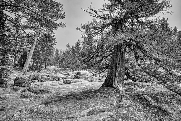 Tuolumne County High Country