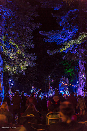 Redwood Ramble, 2015