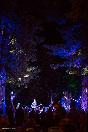 Redwood Ramble, 2015