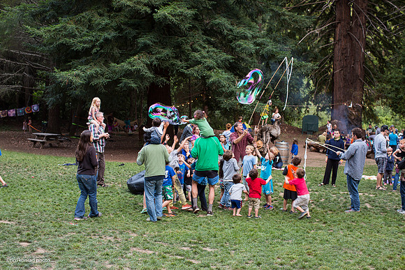 Redwood Ramble, 2015