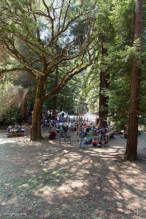 Redwood Ramble, 2015