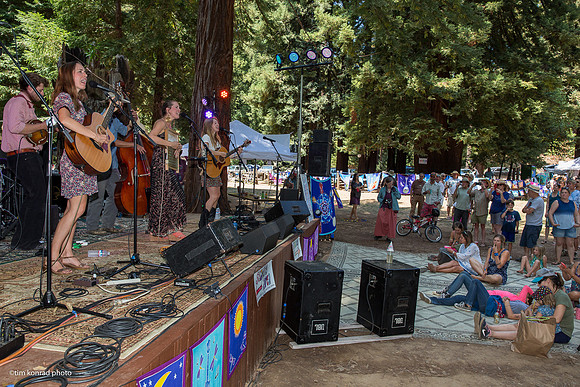 Redwood Ramble, 2015