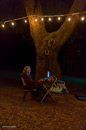 Redwood Ramble, 2015
