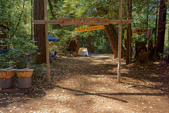 Redwood Ramble, 2015