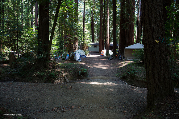 Redwood Ramble, 2015