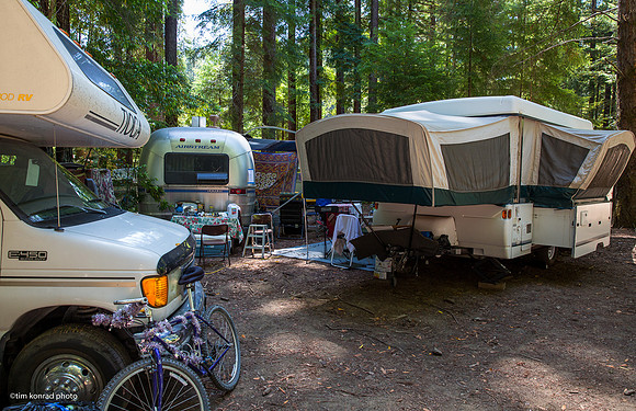 Redwood Ramble, 2015
