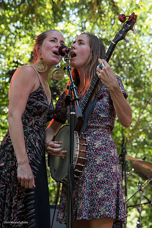 Redwood Ramble, 2015
