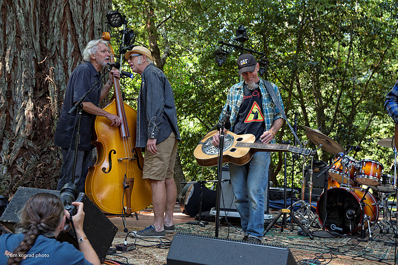Redwood Ramble, 2015