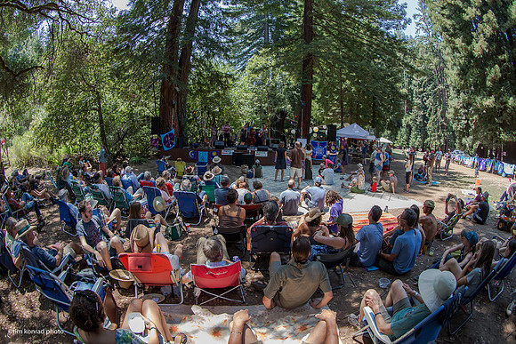 Redwood Ramble, 2015