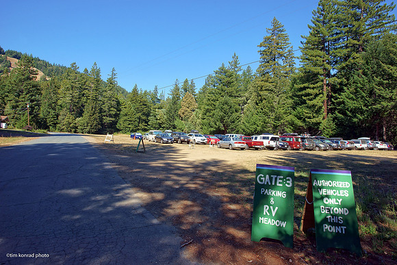 Redwood Ramble, 2015