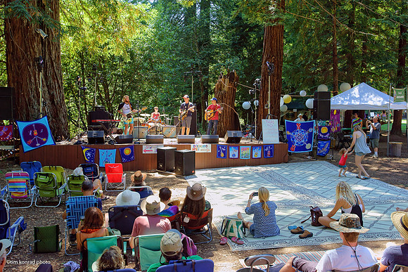 Redwood Ramble, 2015