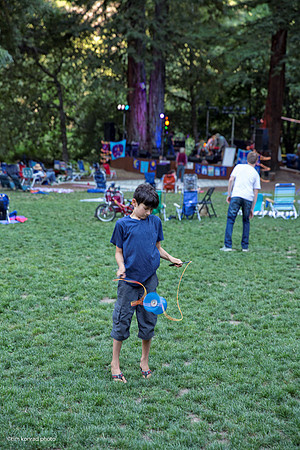 Redwood Ramble, 2015