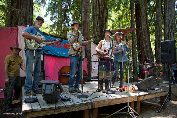 Redwood Ramble, 2015