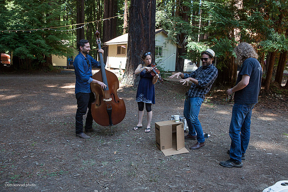 Redwood Ramble, 2015