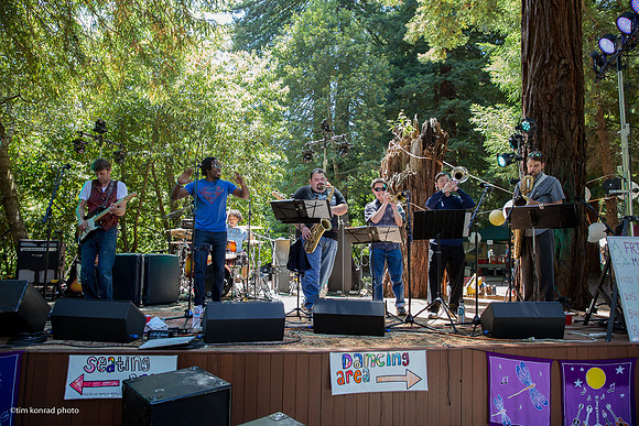 Redwood Ramble, 2015