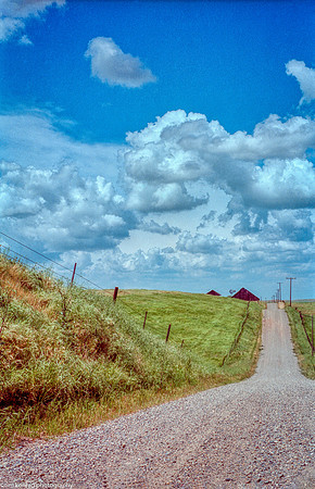 Dunton Road, San Joaquin County, CA April 20, 1989