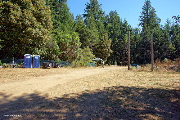 Redwood Ramble, 2015