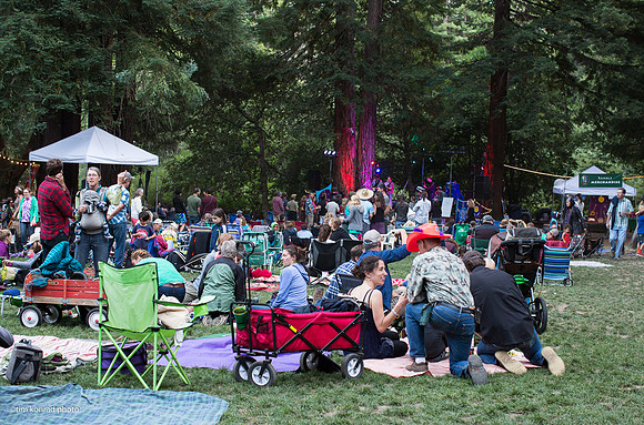 Redwood Ramble, 2015