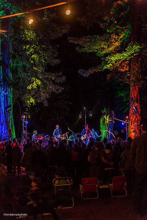 Redwood Ramble, 2015