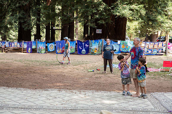 Redwood Ramble, 2015