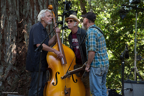 Redwood Ramble, 2015