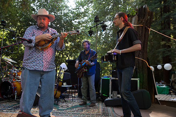 Redwood Ramble, 2015