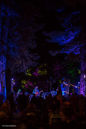 Redwood Ramble, 2015
