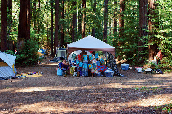 Redwood Ramble, 2015