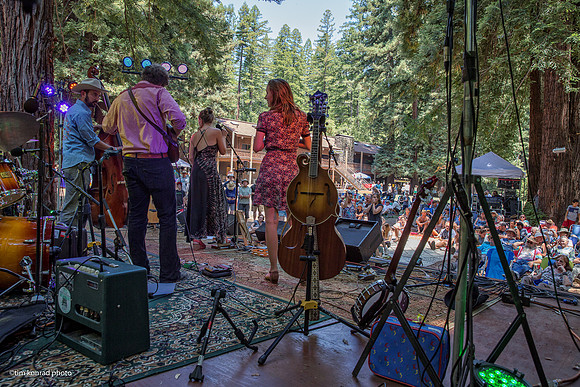 Redwood Ramble, 2015