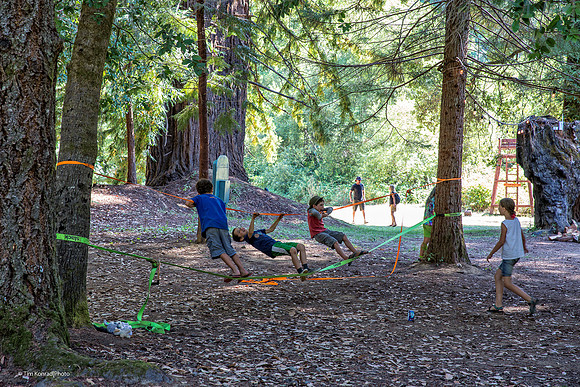 Redwood Ramble, Camp Navarro, 2015
