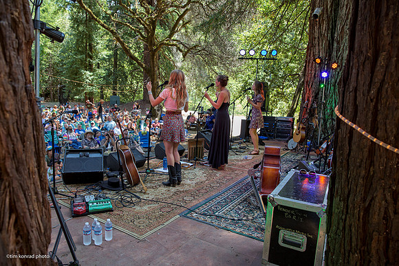 Redwood Ramble, 2015