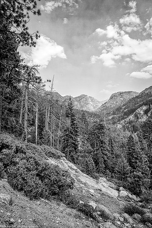 Tuolumne County High Country