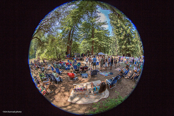Redwood Ramble, 2015