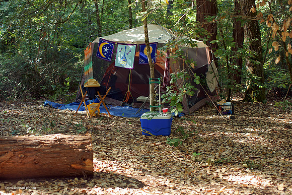 Redwood Ramble, 2015