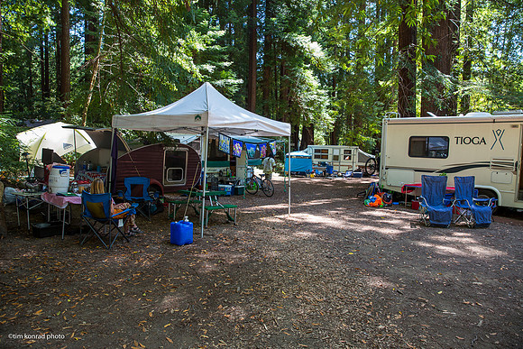 Redwood Ramble, 2015