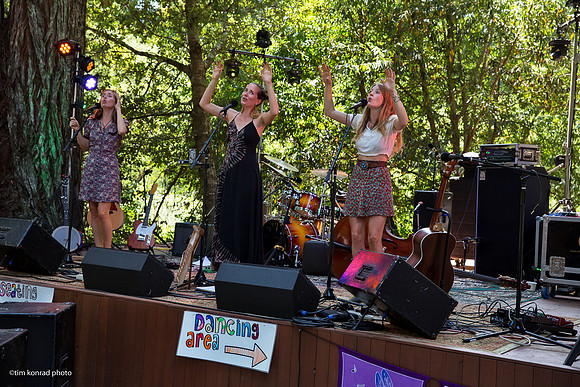 Redwood Ramble, 2015